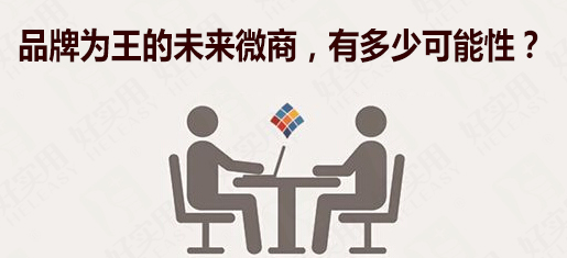品牌为王的未来微商,有多少可能性?