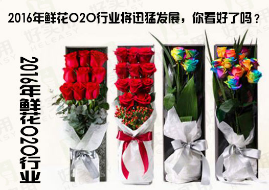2016年鲜花O2O行业将迅猛发展,你看好了吗?