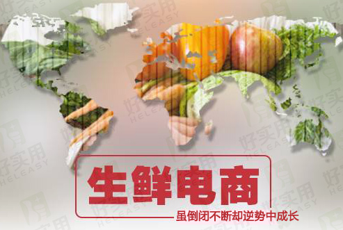 生鲜电商倒闭不断却不乏逆势中成长的主