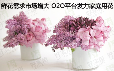 鲜花需求市场增大 O2O平台发力家庭用花