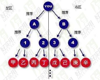 双轨制直销系统软件功能开发解析